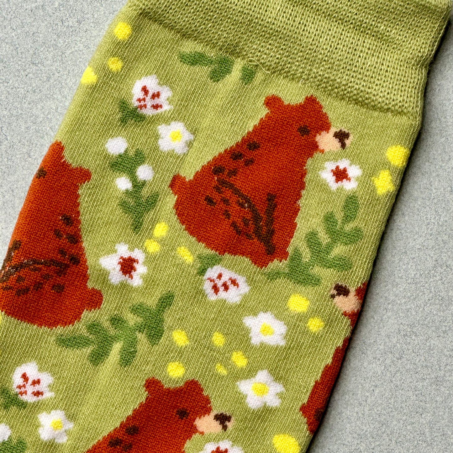 Bear Socks