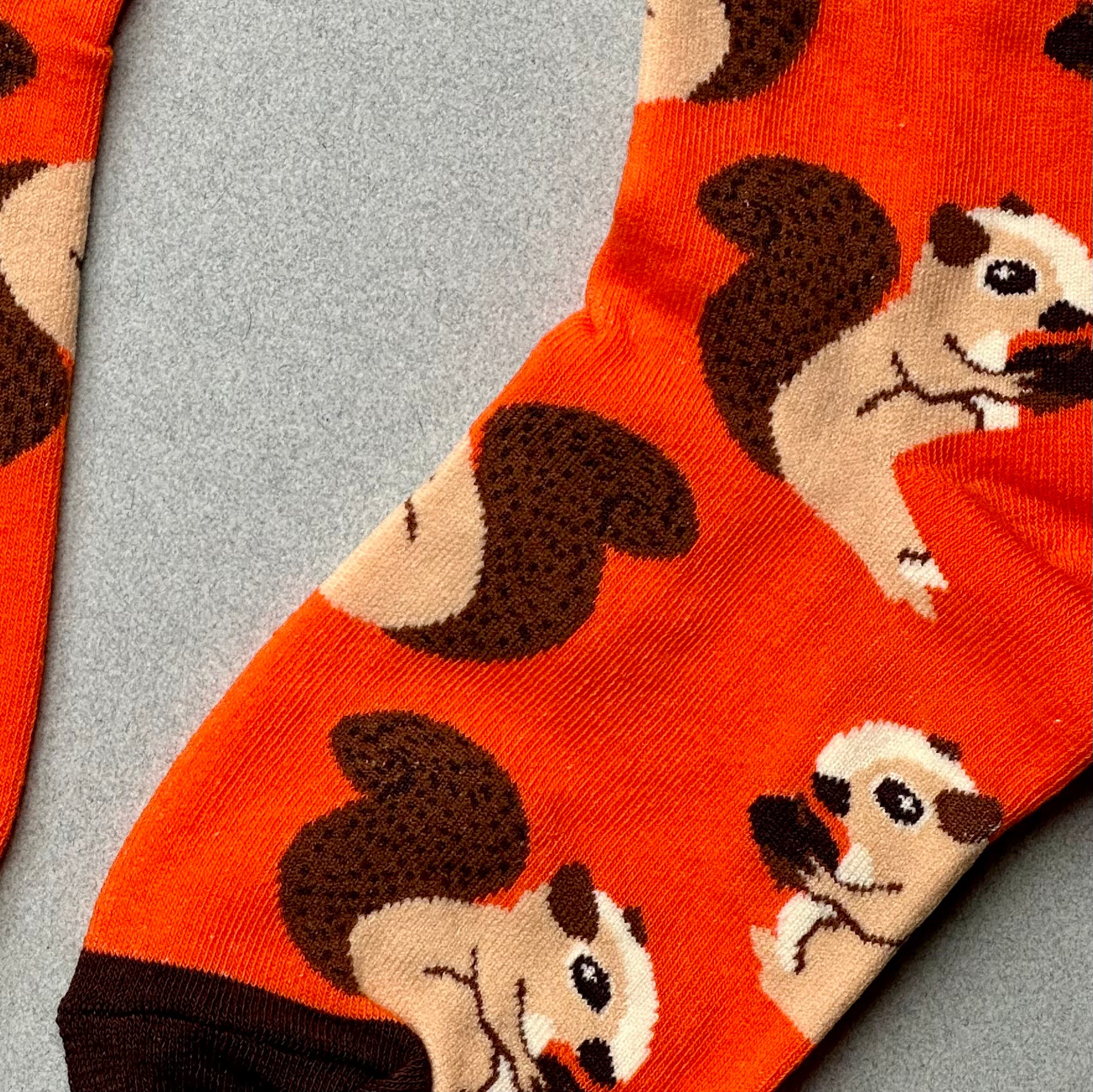 squirrel socks