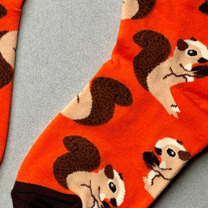 squirrel socks