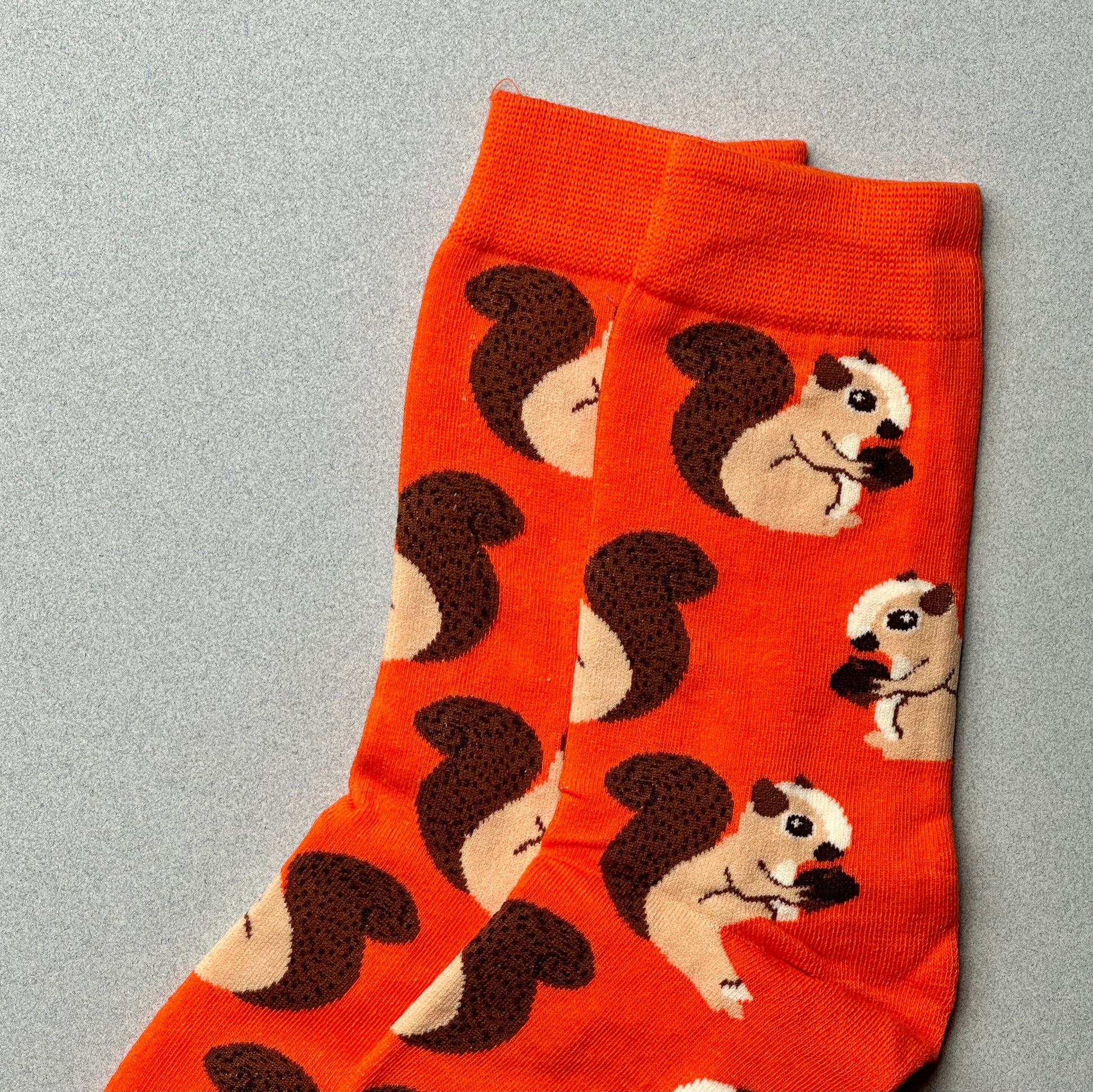 squirrel socks