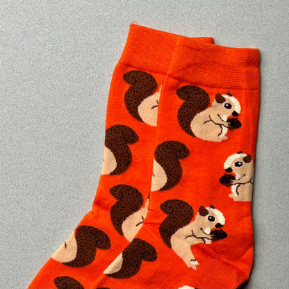 squirrel socks