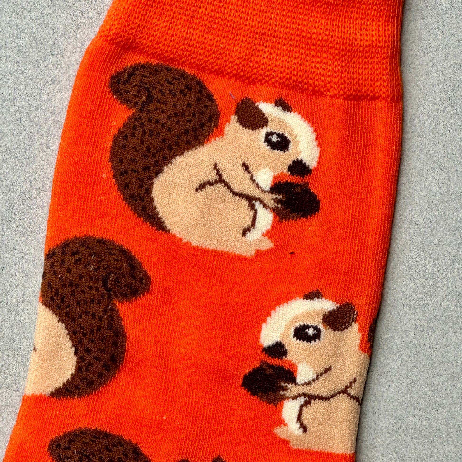 squirrel socks