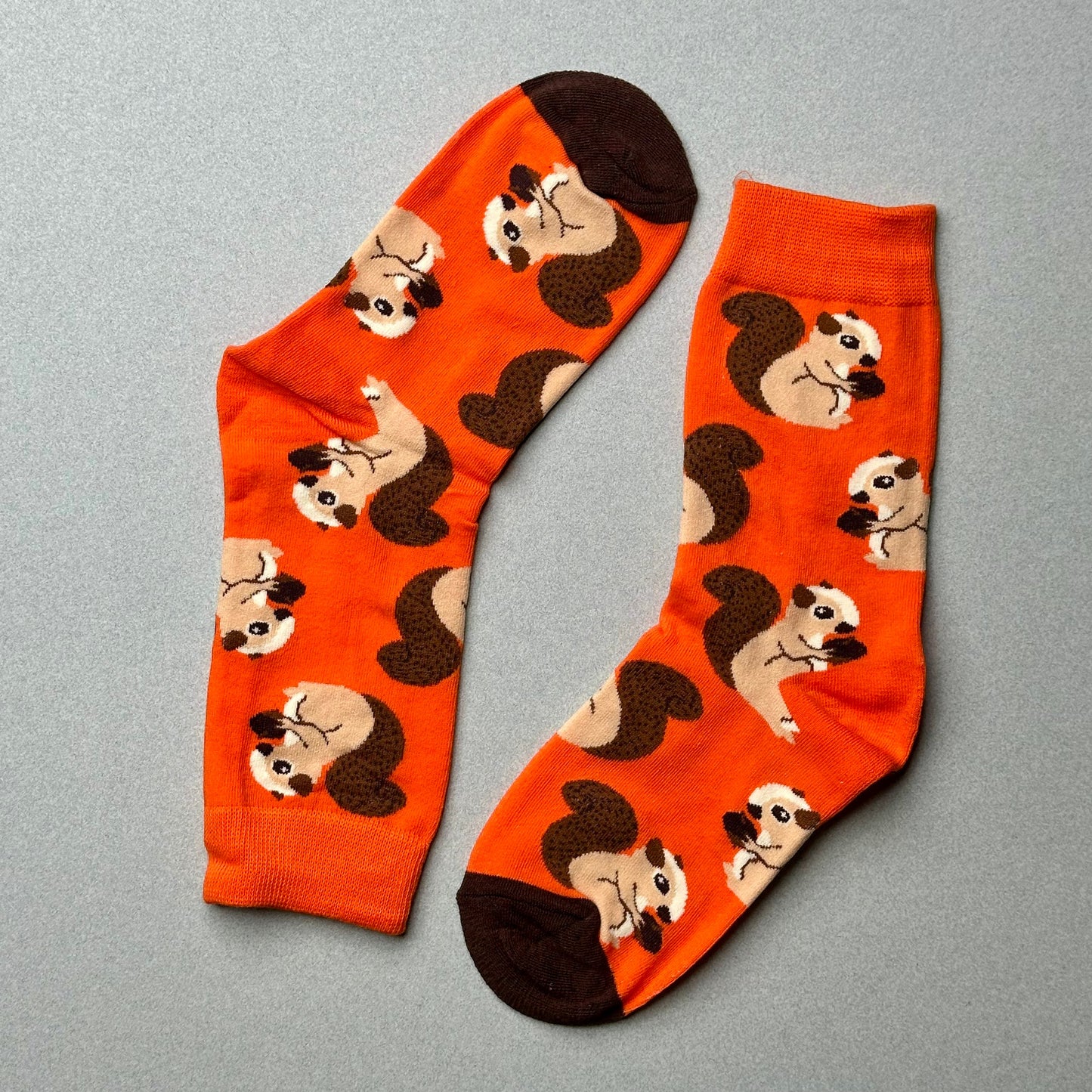 The Busy Squirrel Sock